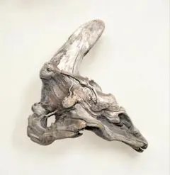 Item thumbnail for item d0198c90-0827-45e2-af7f-8d61e6e4a831