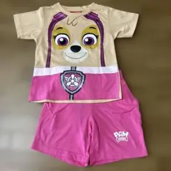 パウパトロール スカイ　110