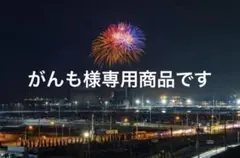 Item thumbnail for item 132f8d3f-046d-4035-9b39-a68a5056433d