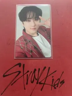 Stray kids MANIAC Blu-ray タワレコ特典 チャンビン