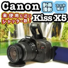 Item thumbnail for item 0df30b1b-0cf6-4d57-af8a-9113ff01d240