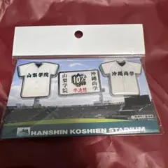 第107回全国高校野球選手権大会　準決勝　山梨学院VS沖縄尚学　ピンバッジセット