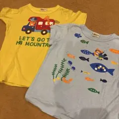 HOT.B 110 Tシャツ 2点セット ホットビスケッツ