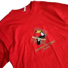 ブラジル・イグアスの滝・刺繍デザイン Tシャツ 赤 68875