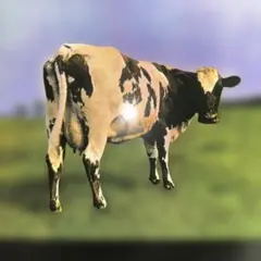 送料無料　名盤　紙ジャケ　Pink Floyd Atom Heart Mothe