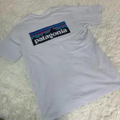 人気✨ Patagonia パタゴニア 半袖 Tシャツ ホワイト ロゴ