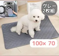 Item thumbnail for item 07bdefc3-a41f-47eb-a0f1-1f0d37fbe6e7