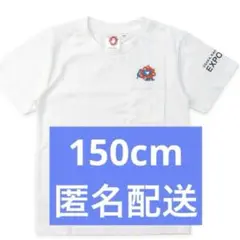 Item thumbnail for item 296f925b-71f6-466d-896c-42f31669005b