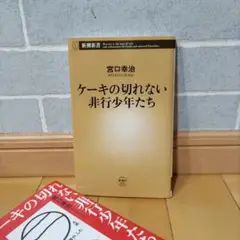 ケーキの切れない非行少年たち 宮口幸治著