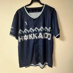 WE LOVE HOKKAIDO シリーズ 配布ユニフォーム