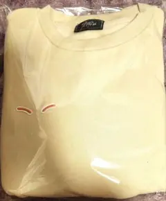straykids popup アイエン メンプロ マンツーマン スウェット