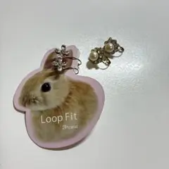 3+carat Loop Fit イヤリング2点セット