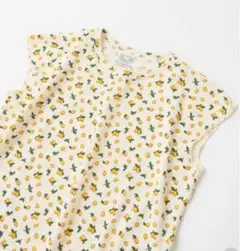 Item thumbnail for item 41e6599c-b328-4556-be49-38a12b50563c