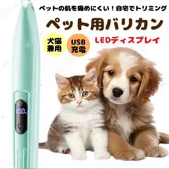 Item thumbnail for item 90d3467d-f8a2-442c-933d-5f775d71e8a1
