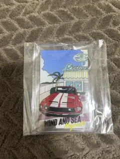 激レアwind and seaキーホルダー
