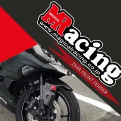 2025年最新】zx4r カーボンの人気アイテム - メルカリ