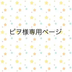 専用ページ