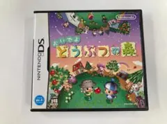 20388 DS おいでよ どうぶつの森 箱・説明書付き