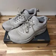 The north face vectiv Enduris　26.0