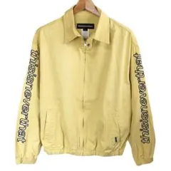 Item thumbnail for item 778fcf15-6279-420b-a85f-783e9343e1ca