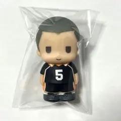 ハイキュー ぱぺマス 田中龍之介
