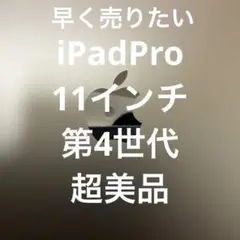 Apple iPad Pro 第4世代 11インチ 128GB 本体 箱無し