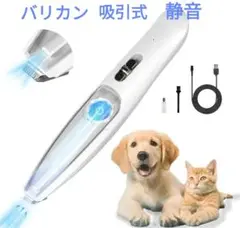 Item thumbnail for item f3d18778-a389-4227-9c95-72f911737f38
