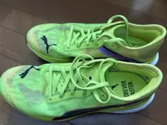 Item thumbnail for item 96a3d697-70c3-440f-9618-8b2d841ad7d8