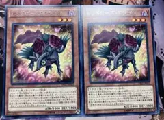 レッドローズドラゴン　2枚