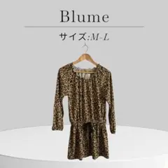 Item thumbnail for item 726fc148-c873-4ba2-a9bf-8cd5356b366d