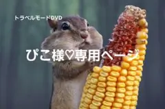 【ぴこ様♡専用ページ】トラベルモードDVD
