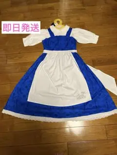 Item thumbnail for item 519fabe3-c984-4d98-9686-161c374d2c3d