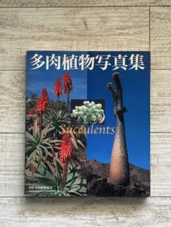 2025年最新】多肉植物写真集の人気アイテム - メルカリ