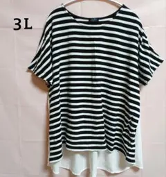 Sweet Fleur ストライプ Tシャツ 3L　大きいサイズ