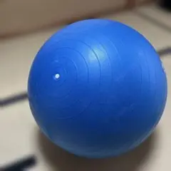 バランスボール　　ブルー