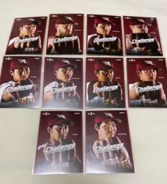 楽天イーグルス　非売品カード