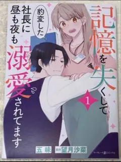 記憶を失くして豹変した社長に昼も夜も溺愛去れてま 1巻