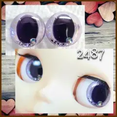 2487 ネオブライスサイズレジンアイチップ
