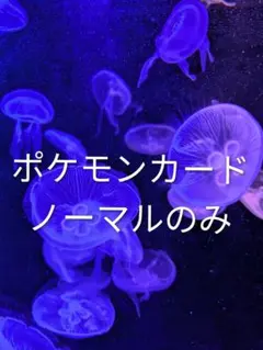 ポケモンカード ノーマルのみ
