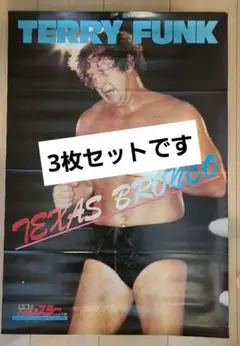 プロレスポスター3枚組　テリー・ファンク2枚,バリー・ウインダム1枚