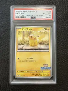 PSA10 ピカチュウ　242/SV-P イラストレーションコンテスト2024