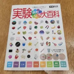 実験おもしろ大百科 : 理科がとくいになる!