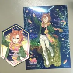 メガイルミ テイエムオペラオー 2点セット