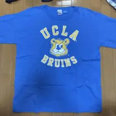 【Champion チャンピオン】Tシャツ 半袖 UCLA プリント 青 L 綿