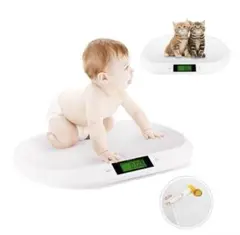 Item thumbnail for item 0276aebe-d992-4b27-aa91-297dfc2cdbfe