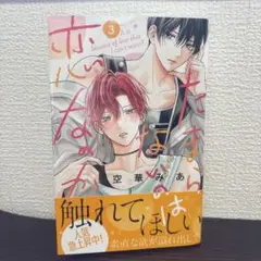 たまらないのは恋なのか3