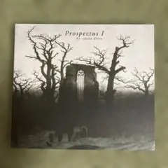 Prospectus I by raison d'être