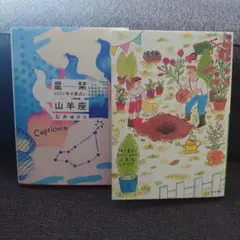 石井ゆかり 山羊座 2冊セット