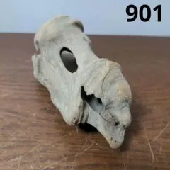 四万十川流木 901