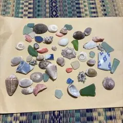 【471】貝殻　セット　イモガイ　シー陶器　マツバガイ　サザエ　鮑　タカラガイ